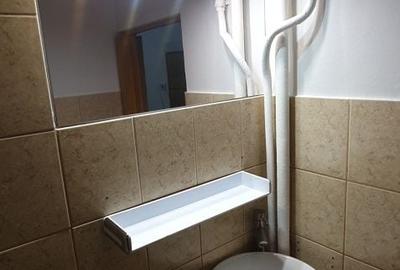 Garsonieră în Dosu Bricii