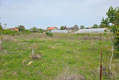 Teren de 560 mp, în Dârza - 8