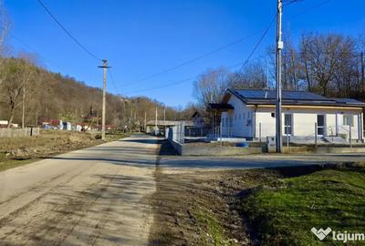 Teren de 4549 mp, în Gura Vitioarei - 7