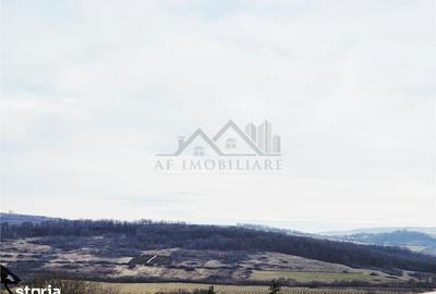 Teren de 493 mp, în Ciurea - 6