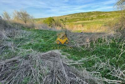 Teren agricol intravilan de 5500 mp, în Sopor - 9