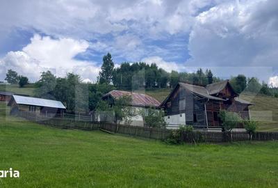 Teren de 36000 mp, în Bosanci - 5