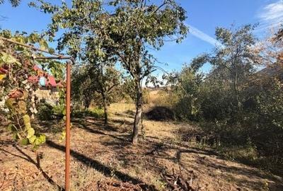 Casă cu 3 camere cu Teren 898 Mp în Central