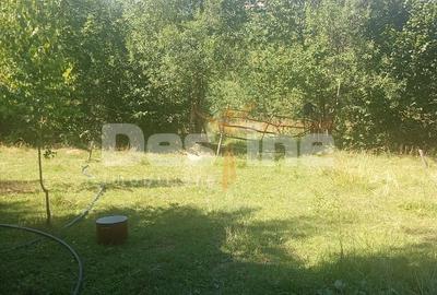 Teren Construcții extravilan de 3000 mp, în Moisei