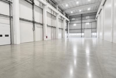 Spațiu industrial, de 14,000 mp, în Broscărie - 6