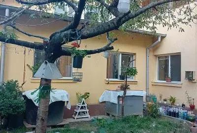 Casă cu 6 camere cu Teren 360 Mp în Central - 1