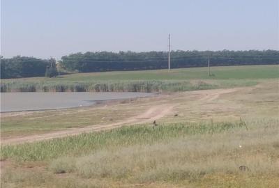 Teren de 3000 mp, în Murighiol - 8