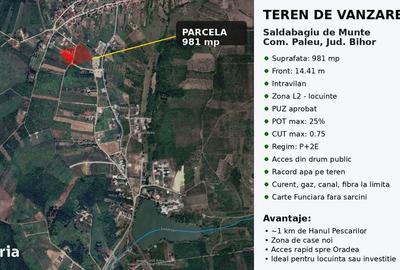 Teren de 981 mp, în Săldăbagiu de Munte