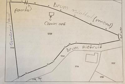Teren Construcții intravilan de 2322 mp, în Păcuri - 13