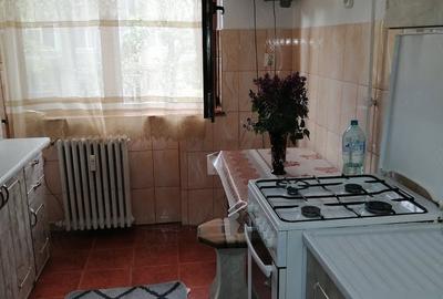 Apartament cu 2 camere semidecomandat în Podgoria - 3