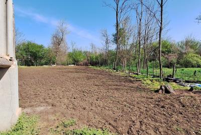 Casă cu 3 camere în Movila Miresii - 1