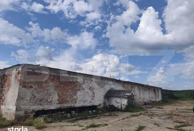 Teren de 8000 mp, în Dragomirești