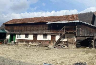 Casă cu Teren 2000 Mp în Terca - 5
