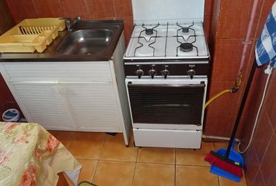 Garsonieră semidecomandată în Zarand - 10
