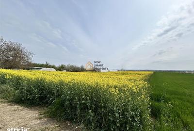 Teren de 8632 mp, în Podgoria - 2