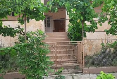 Casă cu 6 camere cu Teren 1401 Mp în Alioș - 2