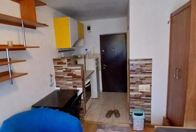 Garsonieră semidecomandată în Buziașului - 3