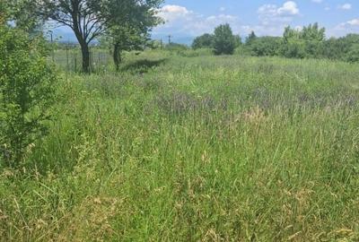 Teren agricol extravilan de 2500 mp, în Periferie - 1