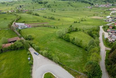 Teren de 7948 mp, în Barcani - 6