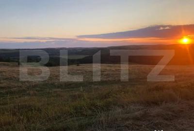 Casă cu 3 camere cu Teren 630 Mp în Săldăbagiu de Munte