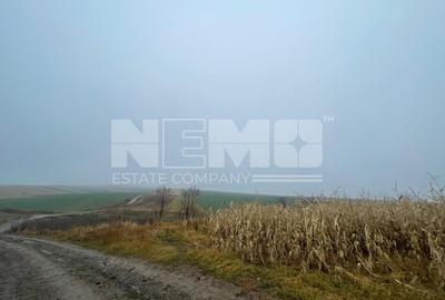 Teren agricol extravilan de 28400 mp, în Dărmănești - 15