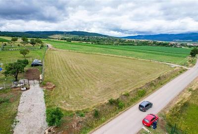 Teren Construcții extravilan de 3800 mp, în Valea Crișului - 2