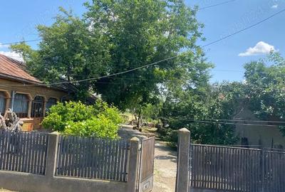 Teren în Vărăști - 5