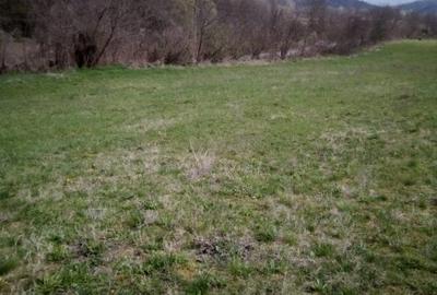 Teren agricol extravilan de 27500 mp, în Geoagiu-Băi - 8
