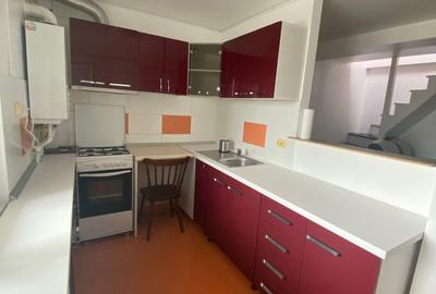 Apartament cu 2 camere semidecomandat, mobilat în Podu Roș - 3