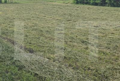Teren de 3600 mp, în Stăuceni