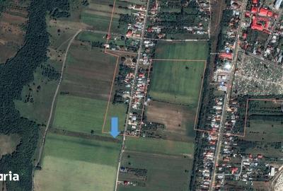 Teren de 2547 mp, în Vălenii de Munte - 9