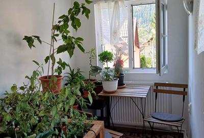 Apartament cu 3 camere decomandat în Zamora - 8