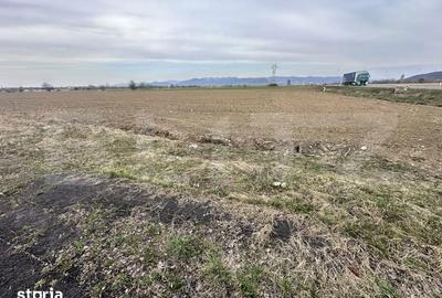 Teren de 32000 mp, în Băcia - 2