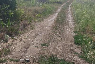 Teren de 808 mp, în Berceni