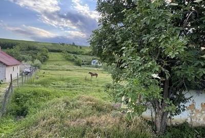 Teren de 6000 mp, în Coarnele Caprei - 2