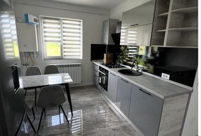 Garsonieră în Ișalnița - 4