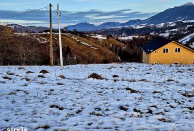 Teren de 4008 mp, în Moieciu - 1