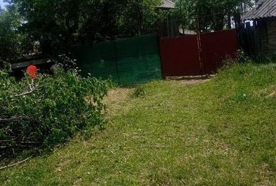 Casă cu 2 camere în Humulești - 6