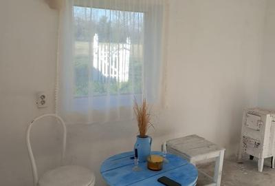 Casă cu 4 camere în Siliștea - 5