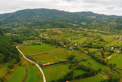 Casă individuală cu 12 camere cu Teren 19841 Mp în Valea Strâmbă - 20
