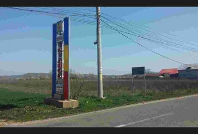Teren intravilan de 5300 mp, în Teiș - 3