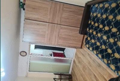 Apartament cu 1 camere circular în Prundu - 2