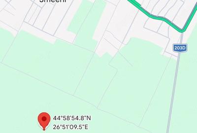 Teren de 10000 mp, în Smeeni