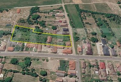 Teren de 5488 mp, în Păulești - 1