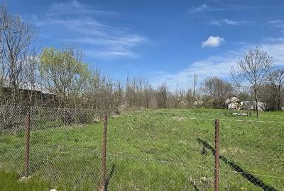 Casă cu Teren 1550 Mp în Ștorobăneasa
