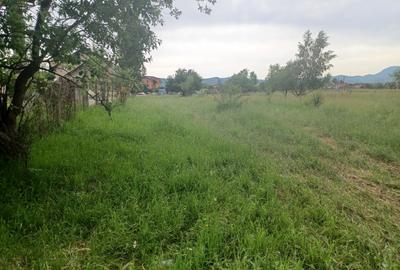 Teren Construcții intravilan de 10500 mp, în Exterior Nord