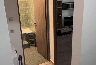 Garsonieră decomandată în Nufărul