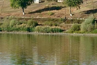 Casă cu 2 camere cu Teren 500 Mp în Zau de Câmpie