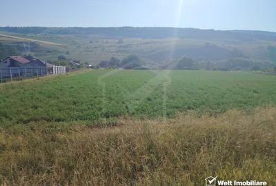 Teren agricol intravilan de 7092 mp, în Corușu - 4