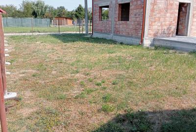 Casă cu 3 camere în Radu Negru